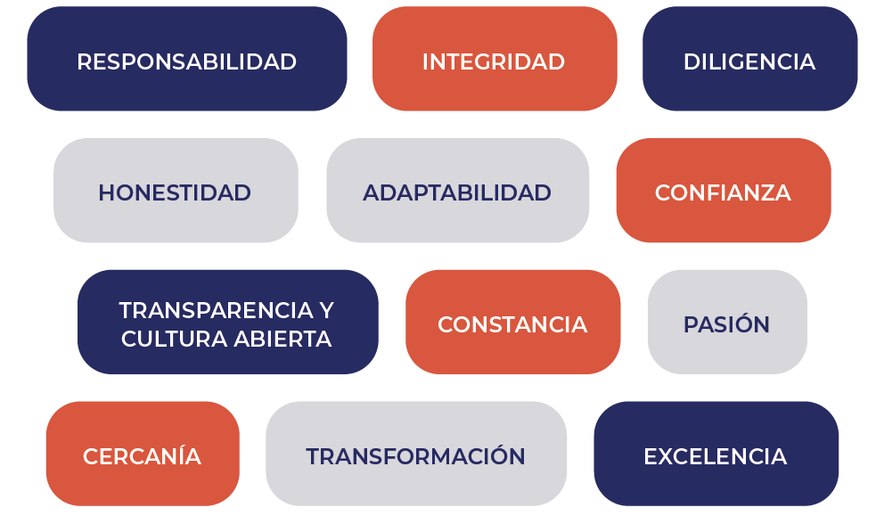 Rika Consultores - Reflotamiento de empresas